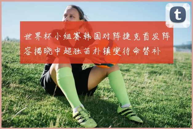 世界杯小组赛韩国对阵捷克首发阵容揭晓中超独苗朴镇燮待命替补
